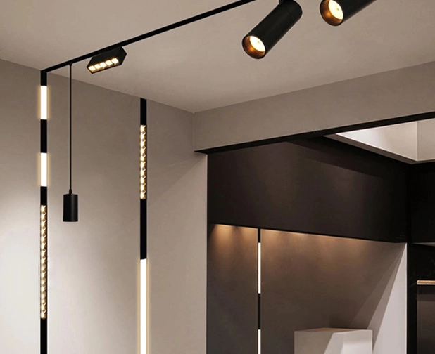 24V/48V Low Voltage Lighting System